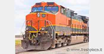 Trieste tra le alternative alla Russia nei treni dalla Cina - Freshplaza.it