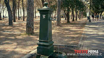 Report acqua, Trieste spreca quasi il 40 per cento di quella disponibile - TriestePrima