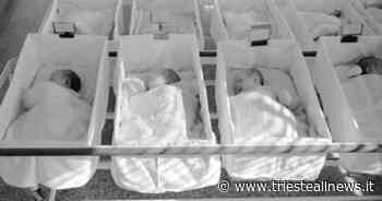 FVG, continua il calo delle nascite. Ma Trieste va in controtendenza - Trieste News