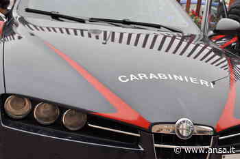 Coppia aggredita e rapinata a Trieste, esplosi colpi in aria - Agenzia ANSA