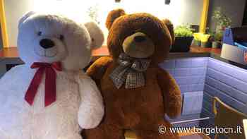 Sono "tornati a casa" gli orsi di peluches del 1786 di Cuneo - TargatoCn.it