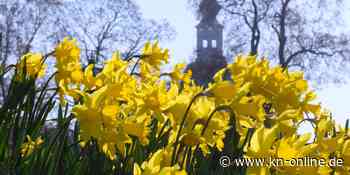 Trotz Kälteeinbruch kommende Woche: Der März bricht mindestens einen Rekord