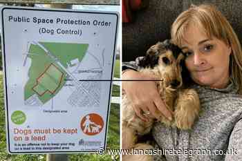 Oswaldtwistle: Pensioners fined £80 for walking dog on field