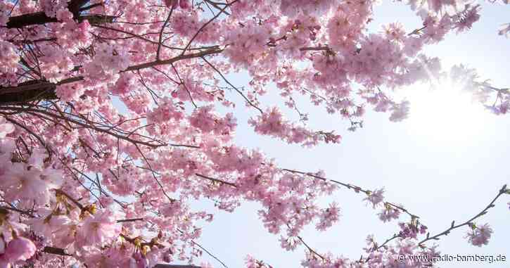 Das Frühlingshoch macht langsam schlapp