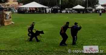 Cães da Guarda Civil de Capivari participam de Campeonato Nacional de Cães Policiais, voltado às Guardas Municipais - Prefeitura de Capivari