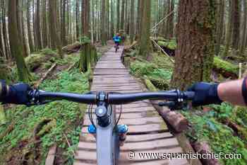 Here's how Squamish bike retailers have done during COVID-19 - Squamish Chief