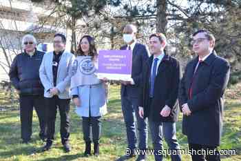 80 units of affordable housing coming to Squamish Nation by next summer - Squamish Chief