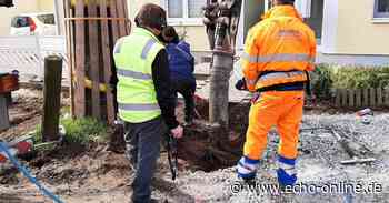 Saugbagger schonen Wurzelwerk in Griesheim - Echo Online