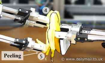 No slip-ups! Video captures robot successfully peeling a banana without squashing the delicate fruit