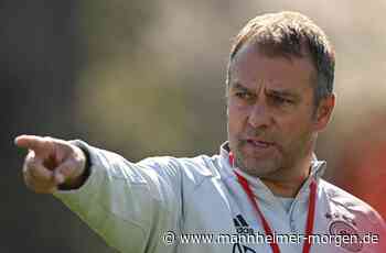 Warum die Fußball-Nationalmannschaft doch nicht in Mannheim oder Heidelberg logiert - Fußball - Mannheimer Morgen