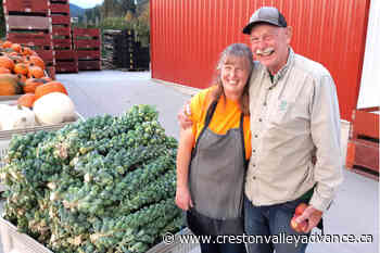 Wloka Farms: What to know about seed potatoes - Creston Valley Advance