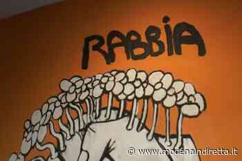 Ragazzi difficili, a Modena il recupero passa per l'urban art. VIDEO - modenaindiretta.it