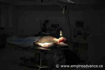 Ukraine says 300 died in theater attack, hunger grips cities - Virden Empire Advance