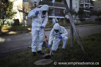 Experts worry about how US will see next COVID surge coming - Virden Empire Advance