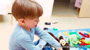 Gemeinderat Bad Teinach-Zavelstein: Kritik am Kindergarten-Zustand