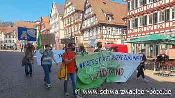 Klimastreik in Calw: 25 Naturschützer gehen auf die Straße