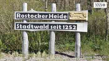 Rostocker Heide: Experten führen Interessenten durch den Küstenwald | nnn.de - nnn.de