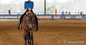 'Our home turf': Auburn equestrian hosts SEC Championship - Opelika Auburn News