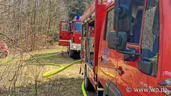 Wieder Feuer in Siegen: Waldbrand auf 1000 Quadratmetern - WP News