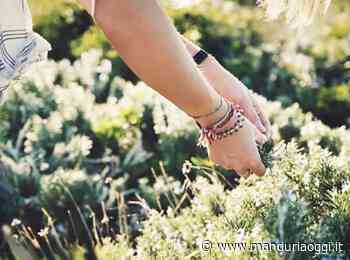 MANDURIA - Per i pazienti oncologici una domenica diversa con 'Salute e qualità di vita a Taranto' presso masseria Cuturi - ManduriaOggi
