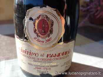 Il Sava Primitivo di Manduria Dolce Naturale Doc 2007 – Vinicola Savese - Luciano Pignataro