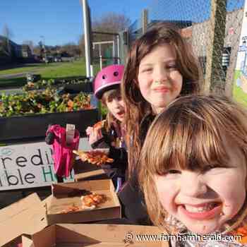 Volunteers urgently needed to meet demand for thriving Farnham youth club | farnhamherald.com - Farnham Herald