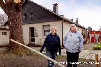 Anwohner gegen Verkehrslärm: Die Polter-Stelle auf der Landstraße 665 - Hellweger Anzeiger