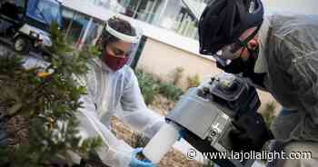 Masks are back on at UCSD Health as coronavirus level rises in San Diego wastewater - La Jolla Light