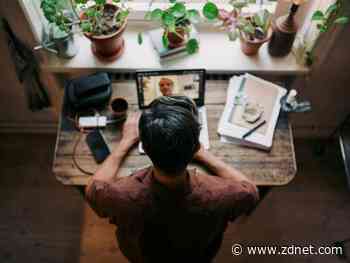 Best indoor plant 2022: Spruce up your home office