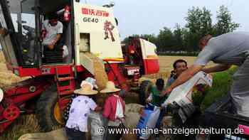 Chinas Agrarpolitik und der Ukraine-Krieg: „Peking erkauft sich Einfluss und erweitert seine Macht“