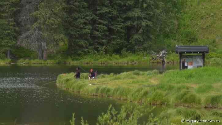 Alberta government to make improvements to day-use areas in K-Country