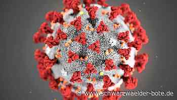 Corona im Kreis Calw: Auf und ab bei der Inzidenz