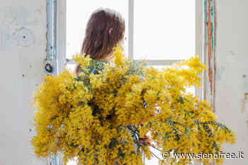 ''Marzo per le Donne'', a Sinalunga un mese di eventi dedicato alla Giornata Internazionale della Donna - SienaFree.it