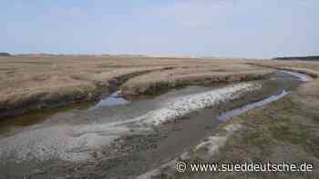 Landtag - Kiel - Landtag stellt sich hinter Generationenaufgabe Küstenschutz - Politik - Süddeutsche Zeitung - SZ.de