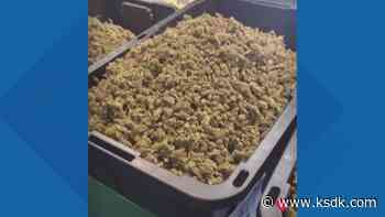 'Bud Man' asked to stop selling at Soulard Farmers Market - KSDK.com