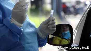 Benevento: brusco aumento di casi covid. Gimbe: 3mila in una settimana - Ottopagine