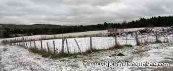 Délai supplémentaire pour le projet ferroviaire à Lac-Mégantic