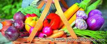 La popularité des aliments bio en hausse