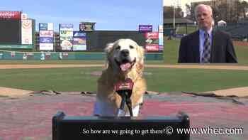 Milo the Bat Dog, Rochester Red Wings raising money for local children's charities this season