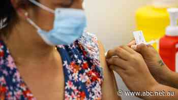COVID-19 updates: Every Australian state and territory's coronavirus numbers - ABC News