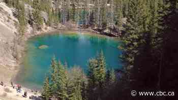 Province announces Kananaskis day-use area upgrades, shuttle bus service, park expansion