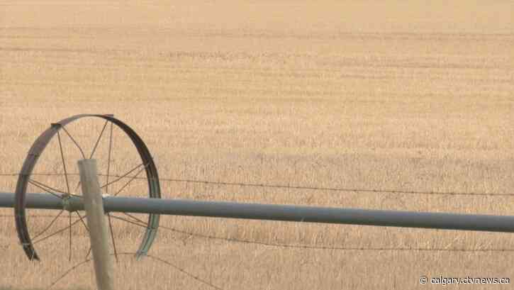 'Extremely dry': Farmers in southern Alberta gear up for drought conditions