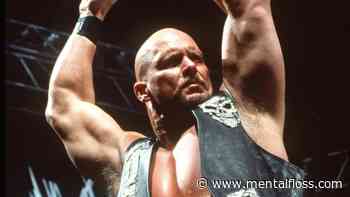 "Stone Cold" Steve Austin Facts - Mental Floss