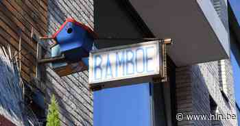 Extra sfeer in Diestsestraat dankzij vogelhuisjes | Leuven | hln.be - Het Laatste Nieuws