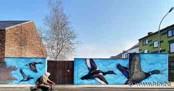 Eenden zwermen uit in Leopold Ruelensstraat | Leuven | hln.be - Het Laatste Nieuws