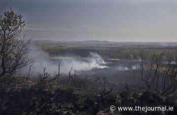 High risk of forest fires as orange level warning issued by Department of Agriculture - TheJournal.ie