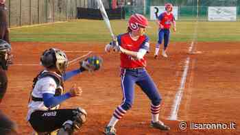 Softball, Coppa Prealpi: super match fra Saronno e Tt Tigers. Passano le olandesi - ilSaronno