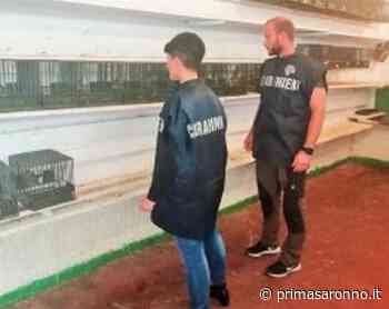 Sequestrati oltre 2.500 esemplari di avifauna e denunciati 104 soggetti - Prima Saronno