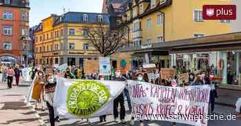Lindau: Hundert Menschen kommen zu Klimastreikaktion - Schwäbische