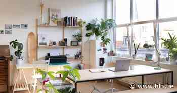 Van Herentals tot Mol: op deze 6 gedeelde werkplekken in de Kempen haal je het beste uit je job - Het Laatste Nieuws